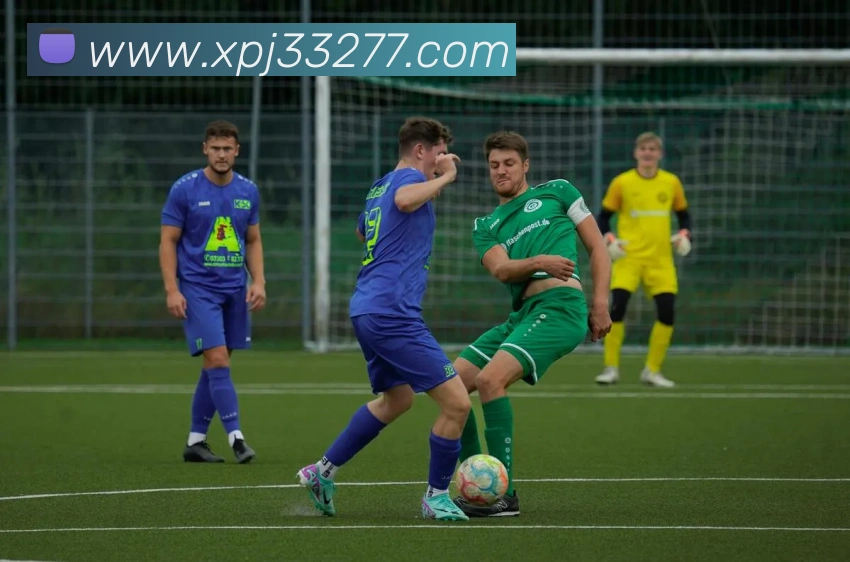 新葡京在线网址平台生态图