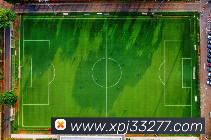 新葡京在线网址APP 封面图